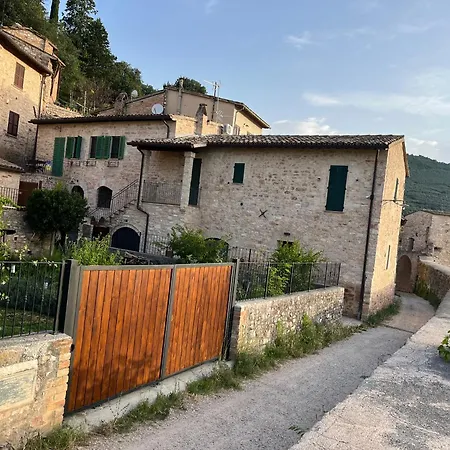 A With A View-spello * Spello