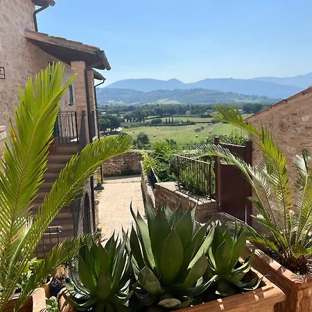 A With A View-spello