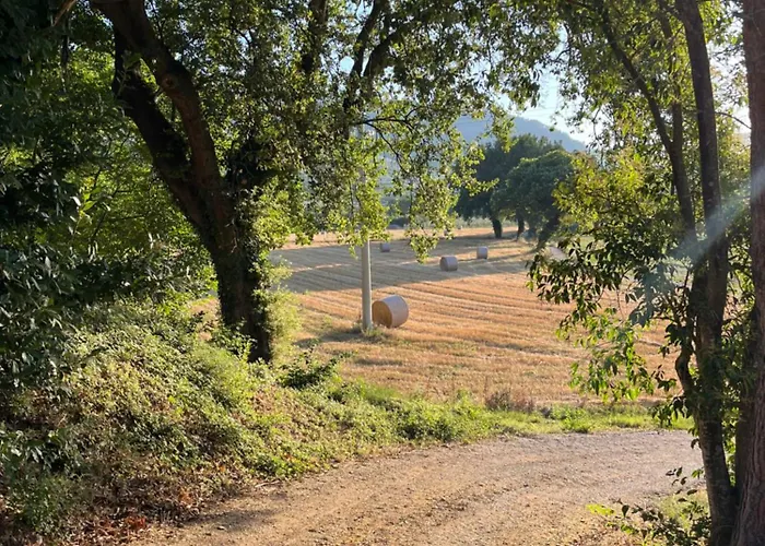 Apartamento A With A View-spello Spello