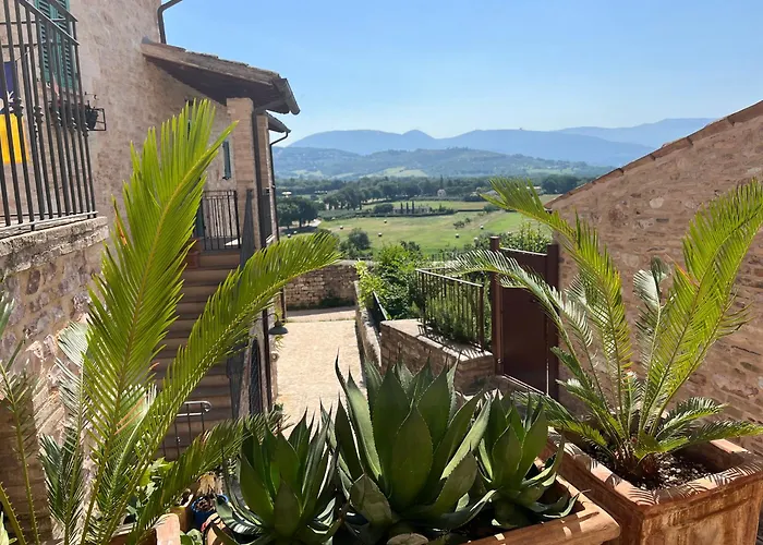 A With A View-spello